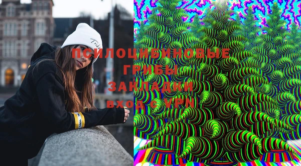 прущие крисы Верхний Тагил