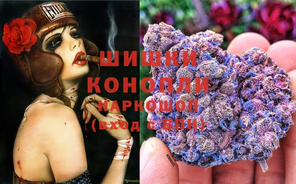 прущие крисы Верхний Тагил
