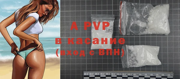 ешки Бородино